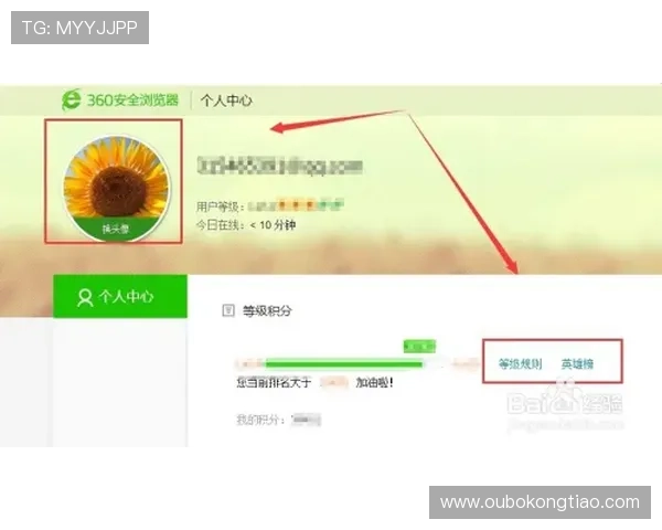 欧博官方登录入口：确保账号安全的登录步骤与注意事项